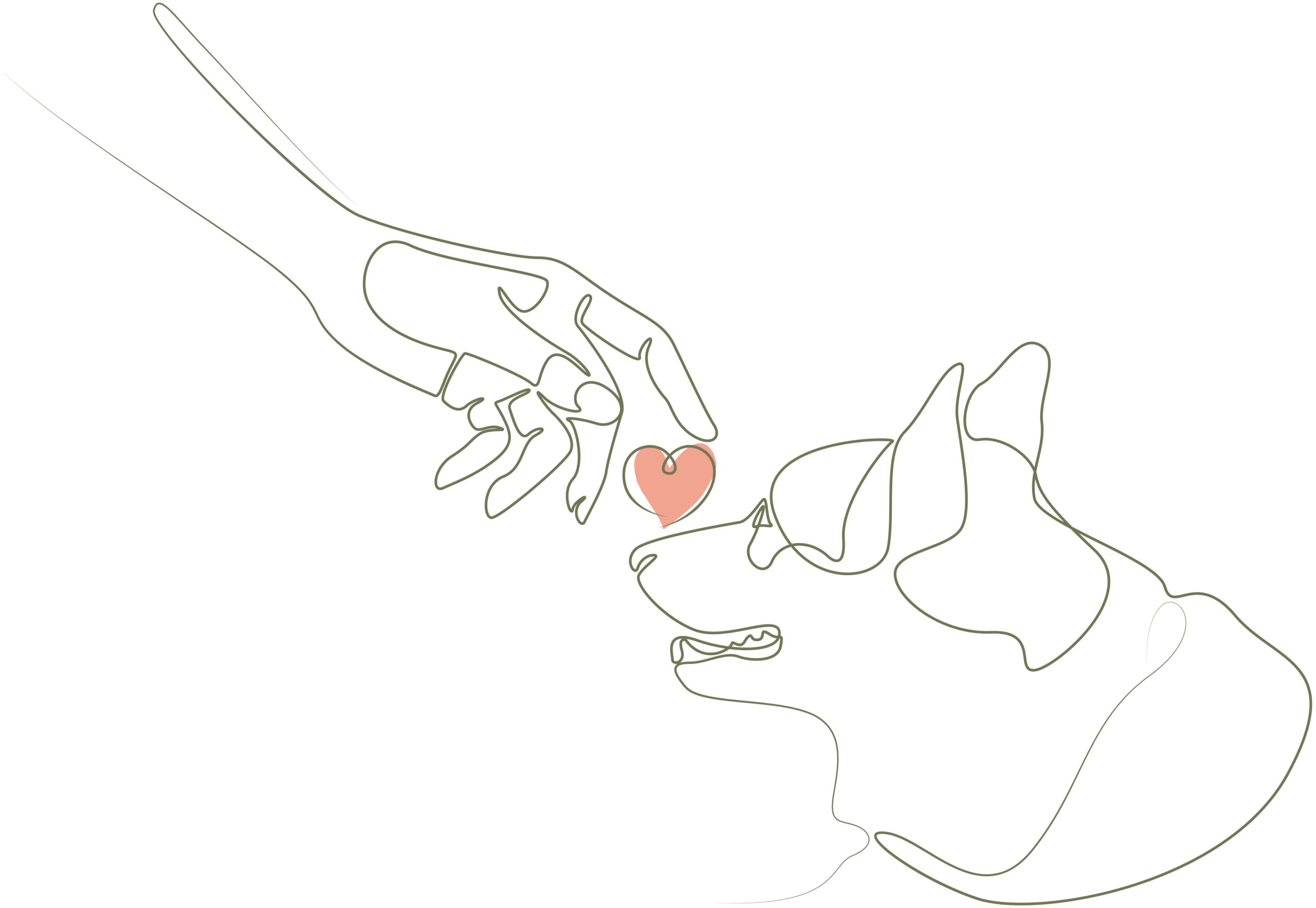 Line-Art-Illustration: eine Hand berührt sanft die Nase eines Hundes, dazwischen ein Herz